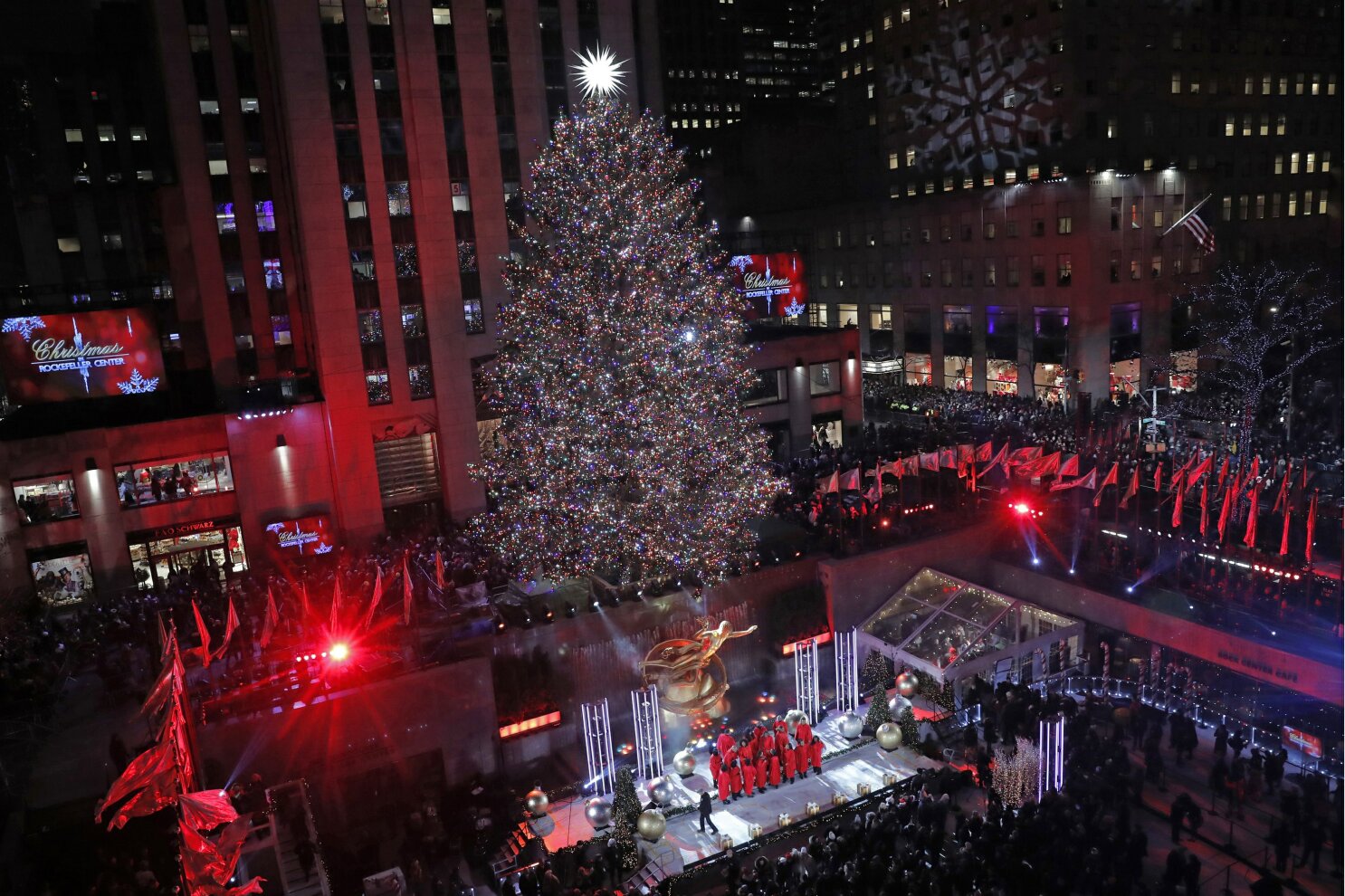 Rockefeller christmas on sale tree 2019